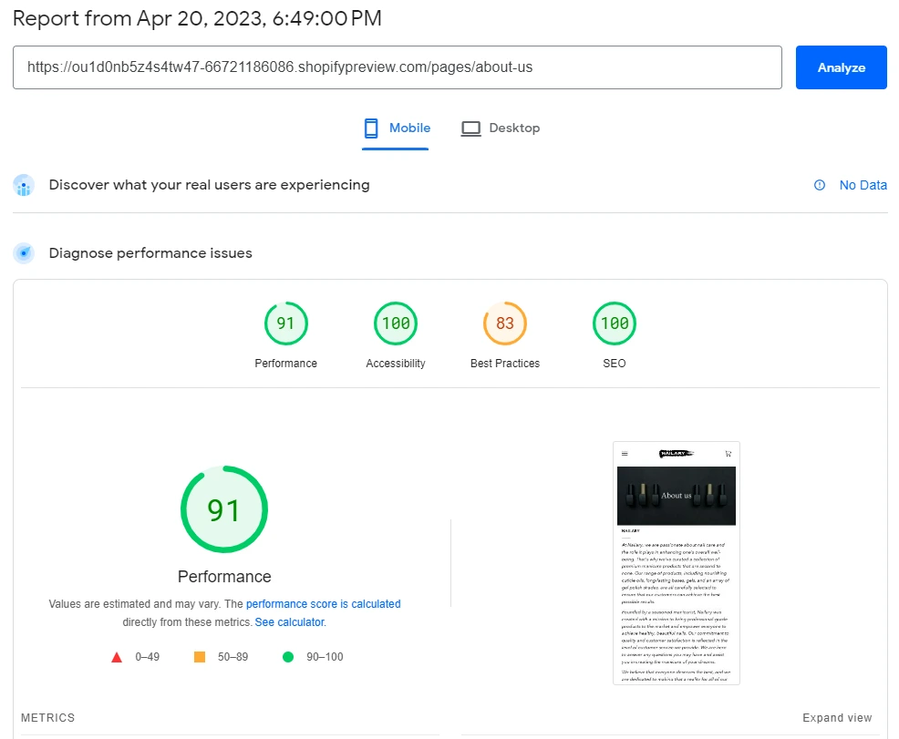 PageSpeed Insights Mobile report showing a performance score of 91.