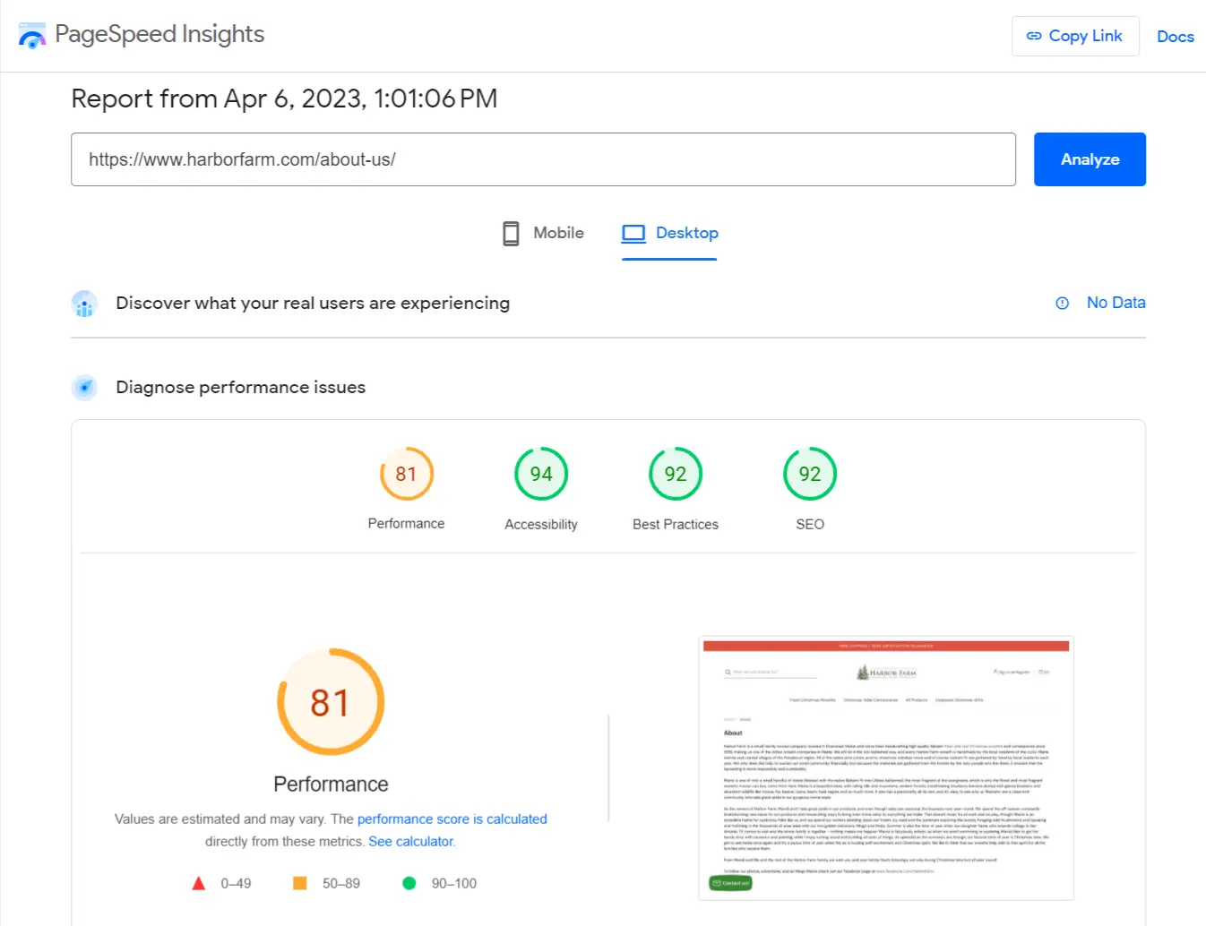 PageSpeed Insights report showing a performance score of 81, accessibility score, best practices score and SEO score.