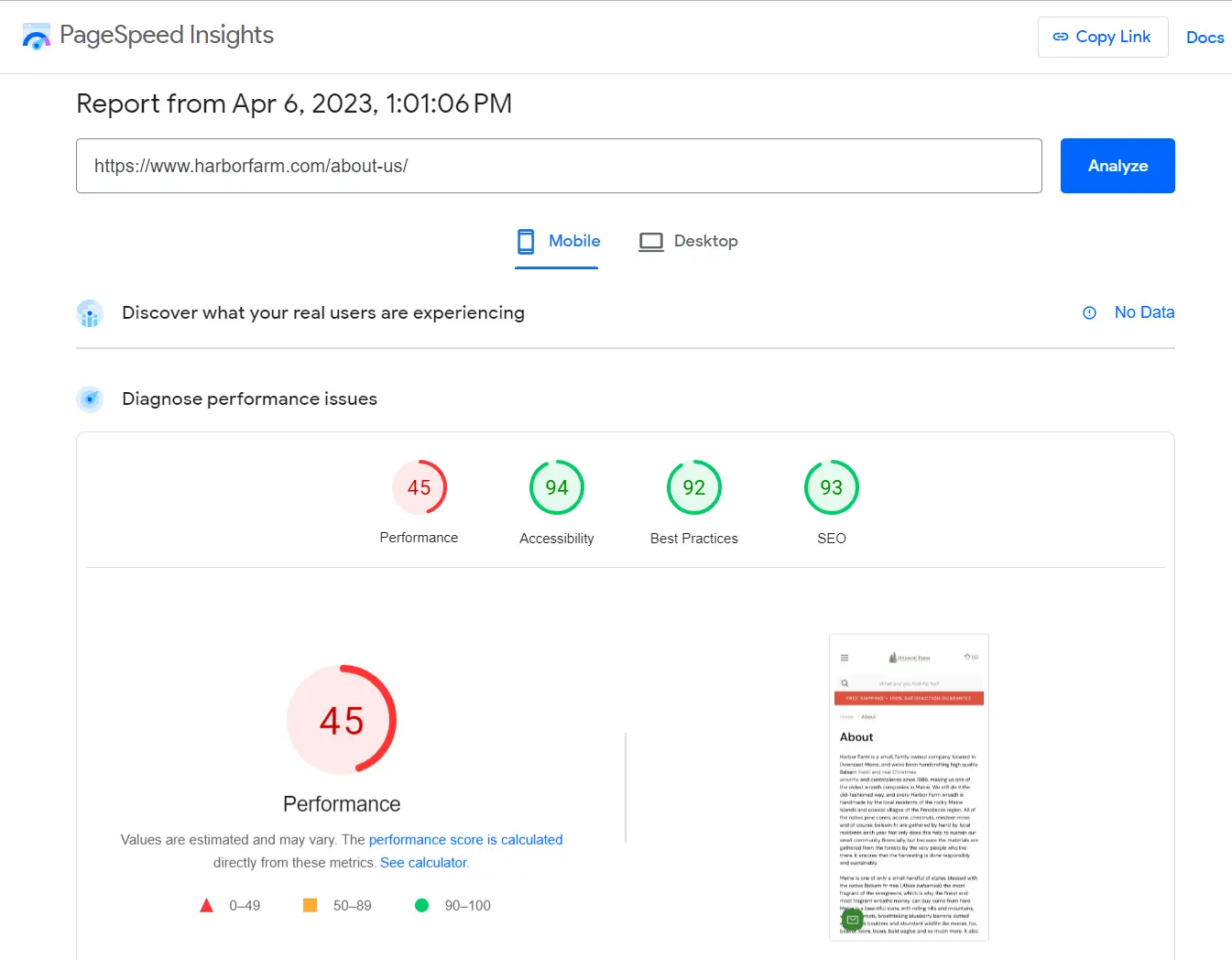 PageSpeed Insights Mobile report showing a performance score of 45.