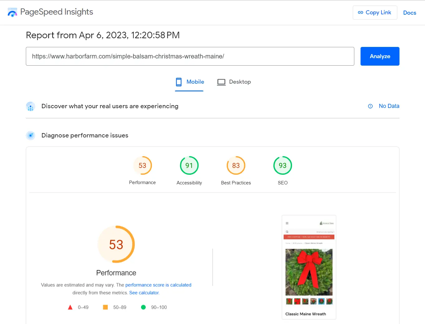 PageSpeed Insights Mobile report showing a performance score of 53.