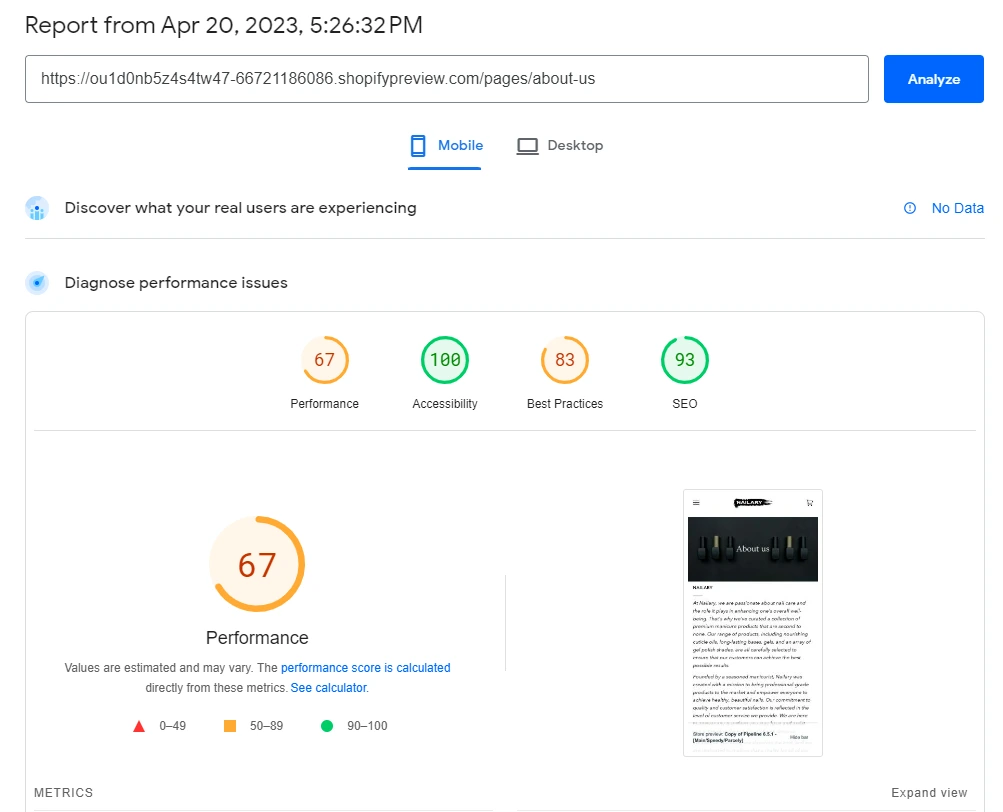 Pagespeed Insights Website Speed Performance Analysis Report.