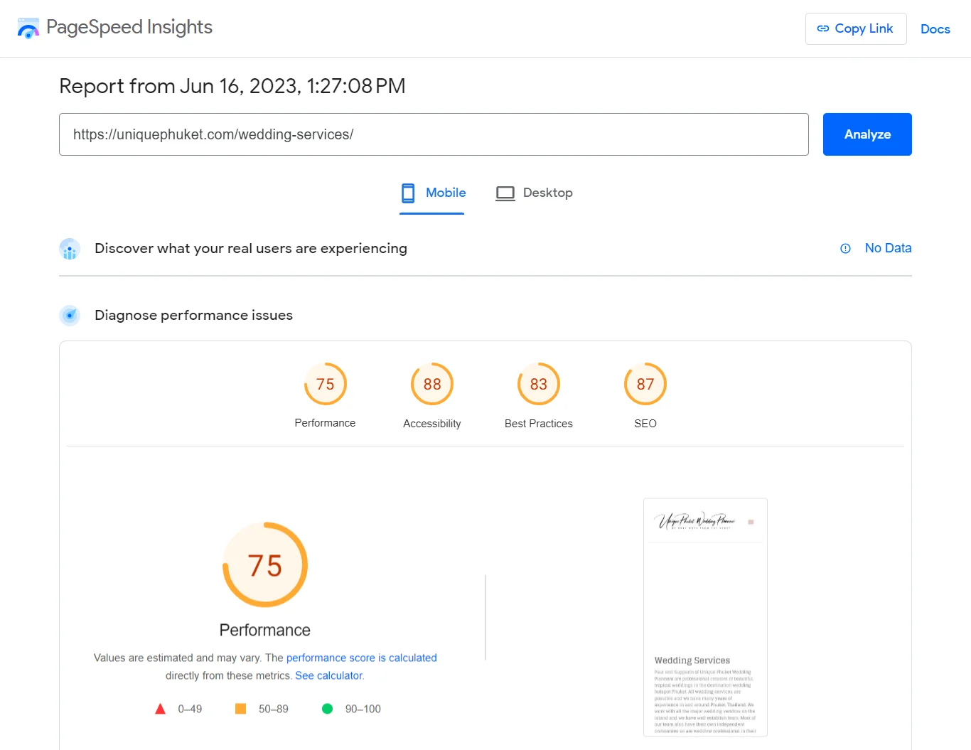 PageSpeed Insights Mobile report showing a performance score of 75.