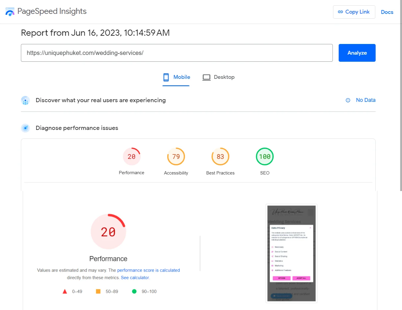 PageSpeed Insights report showing a performance score, accessibility score, best practices score and SEO score.