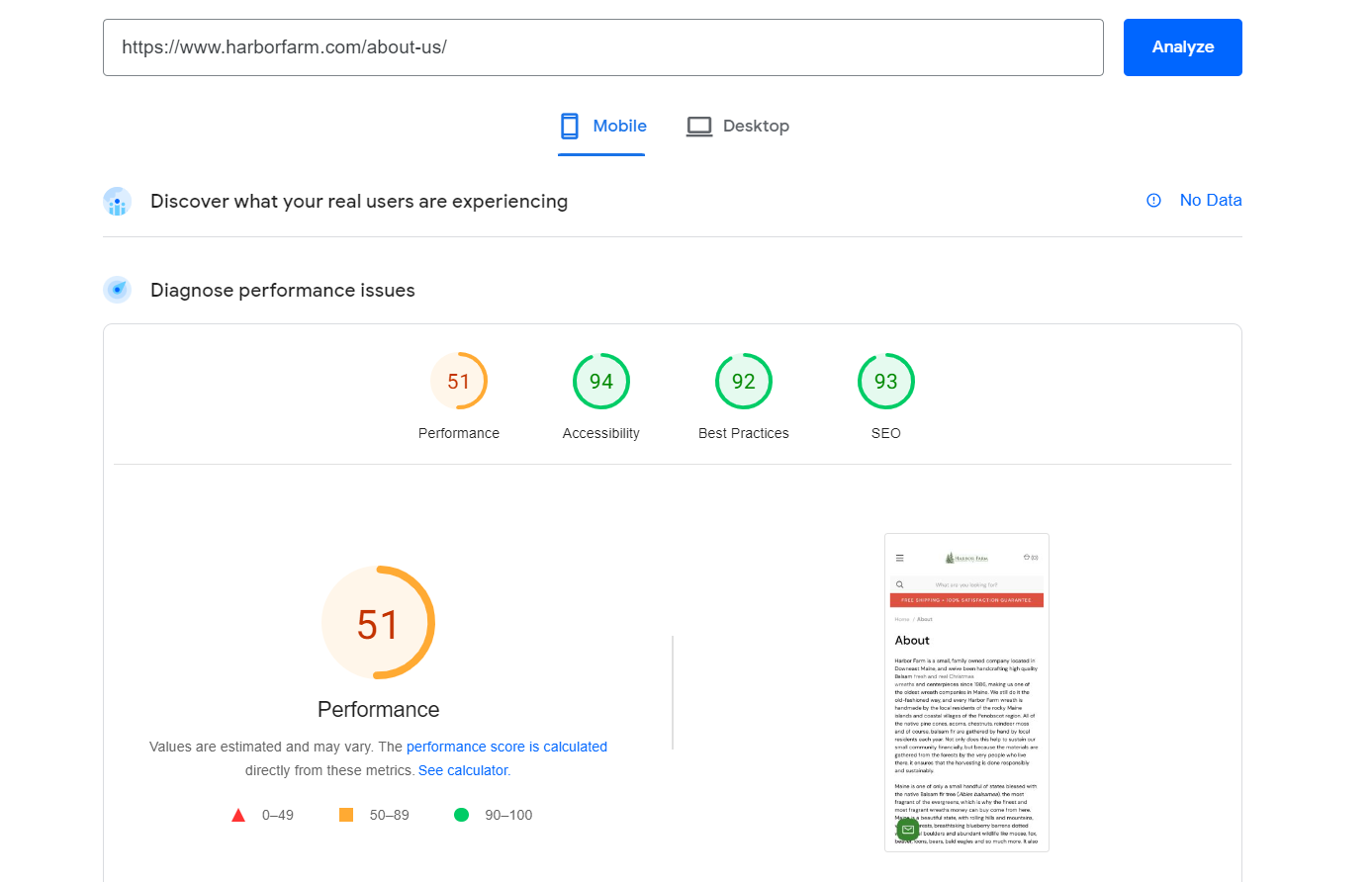 PageSpeed Insights report showing a performance score of 51, accessibility score, best practices score and SEO score.