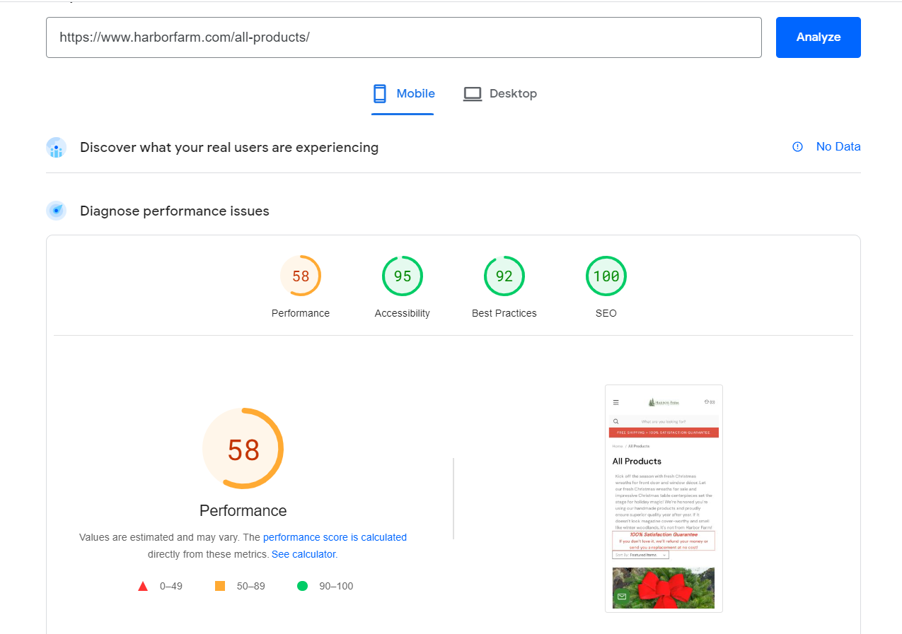 PageSpeed Insights report showing a performance score of 58, accessibility score, best practices score and SEO score.